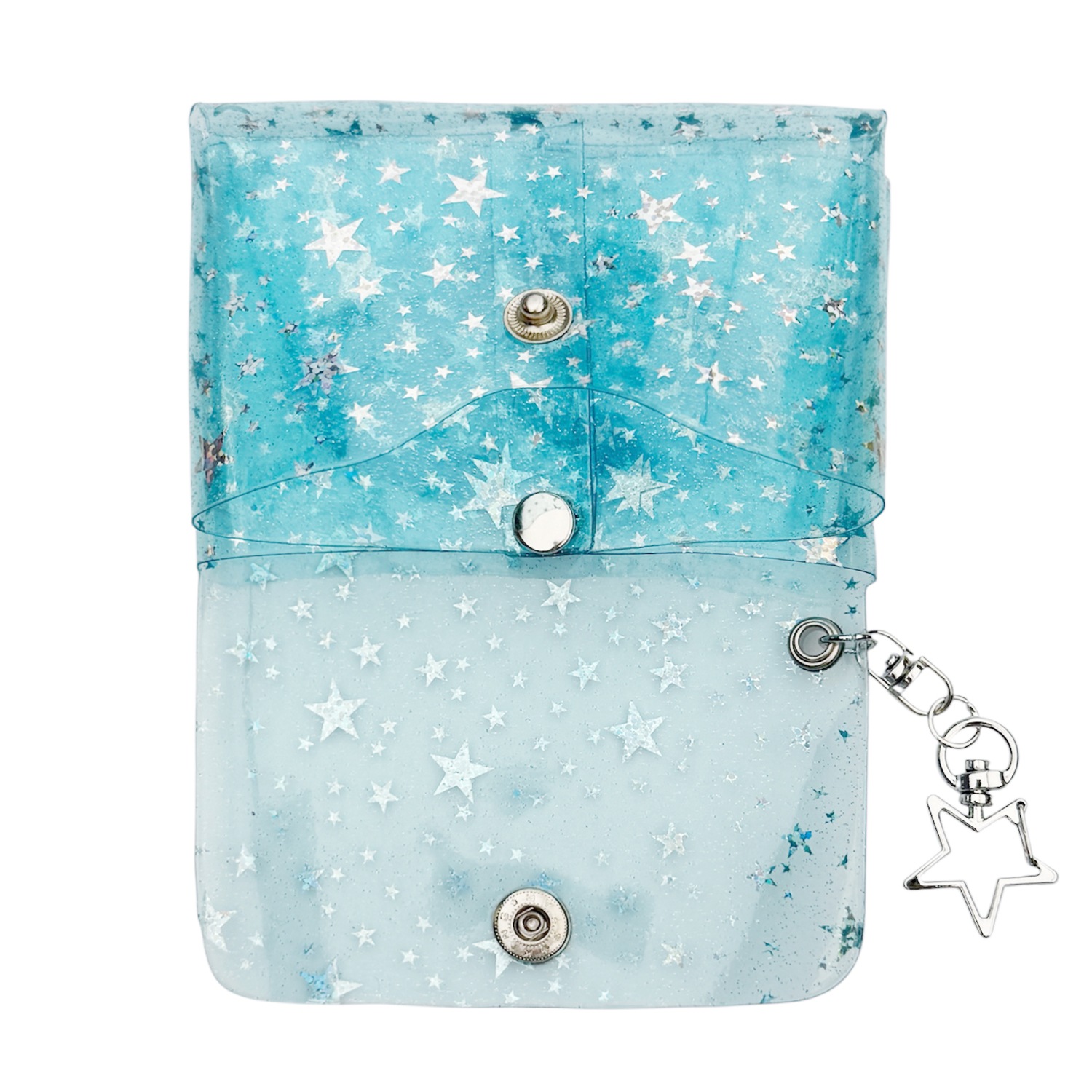 sky blue star dolphin pvc pouch