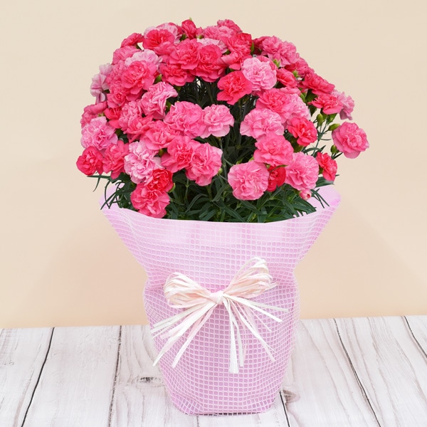 ����������͡�����󡡥ԡ��������ɥ�