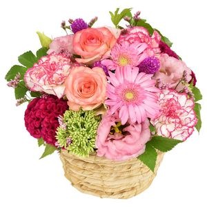 �����󥿡�����󥸥��ȡʥԥ󥯷ϡ�