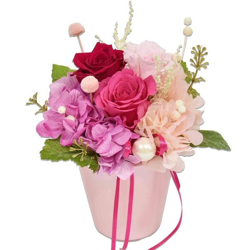 �ץꥶ���֥ɥե��ʥԥ󥯷ϡ�