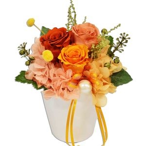 �ץꥶ���֥ɥե��ʥ�����������󥸷ϡ�