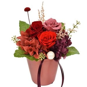 �ץꥶ���֥ɥե��ʥ�åɡ�