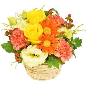 色,黄／オレンジ | 花工場（吉田園）