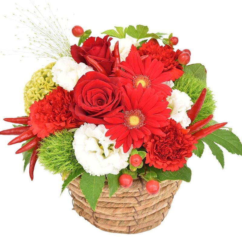 �����󥿡�����󥸥��ȡʥ�åɷϡ�