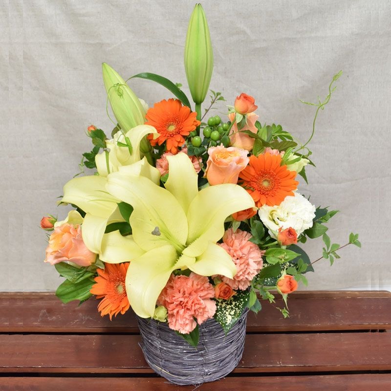 ɴΥХåȥ󥸥ȡʥ󥸷ϡ