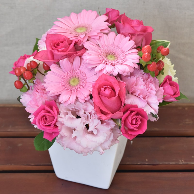 ڼãꥢۥݡȥ󥸥ȡʥԥ󥯡