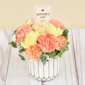 �ޥ���������󥸥��ȡʥ��ˡ���