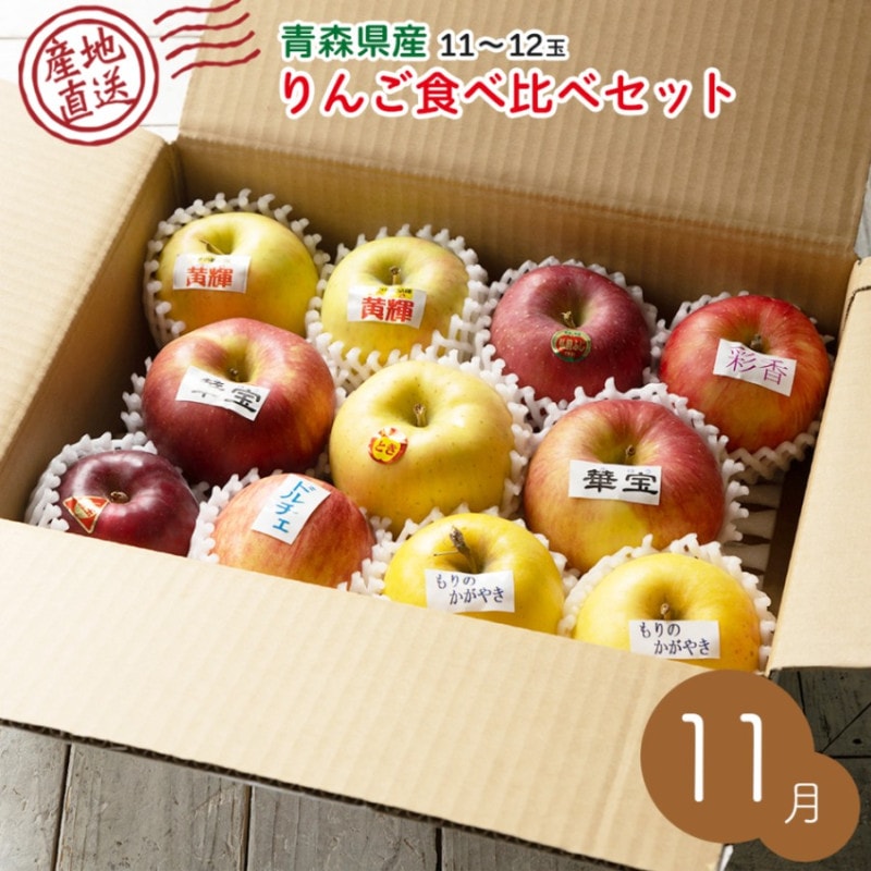 11月出荷予定 【産地発送】 青森県りんご食べ比べセット （5種以上11～12個入り）