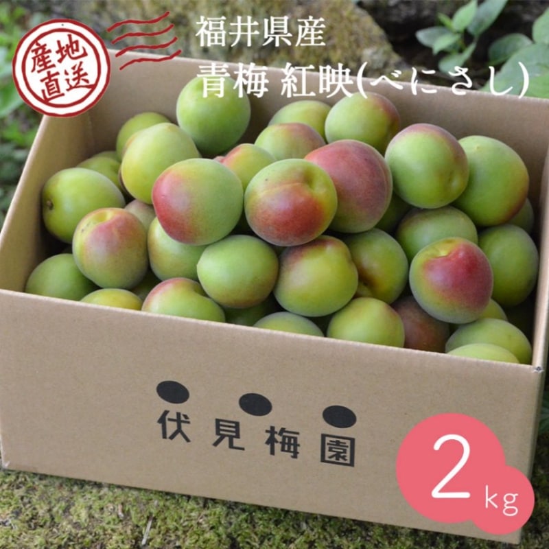 6月下旬～7月中旬出荷予定 【産地直送】 青梅 (紅映) 2kg 福井県産【送料無料】