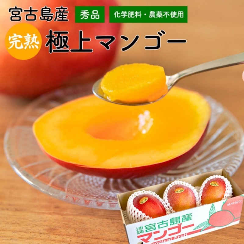 7月下旬～8月上旬出荷予定 【クール便配送】【産地直送】 宮古島産 マンゴー 1kg