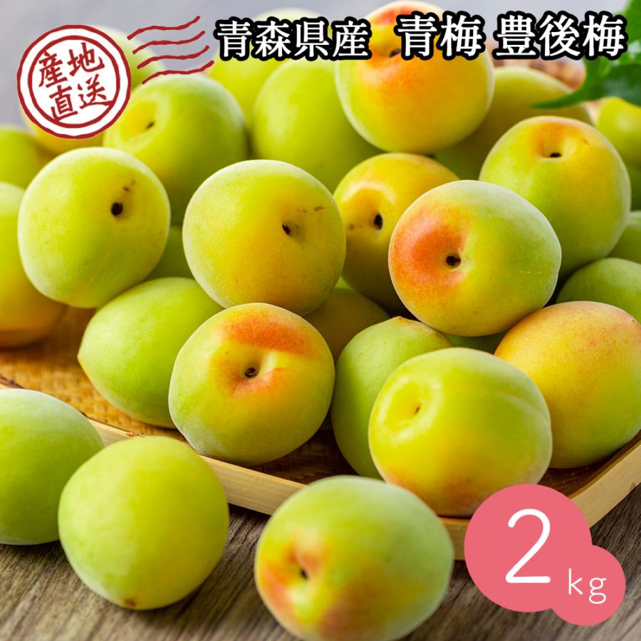 【産地直送】 青森県 豊後梅 2kg 青梅 梅 うめ 梅酒 梅干し 梅シロップ 梅干 梅シロップ 梅ジャム 予約販売 7月上旬~中旬出荷予定