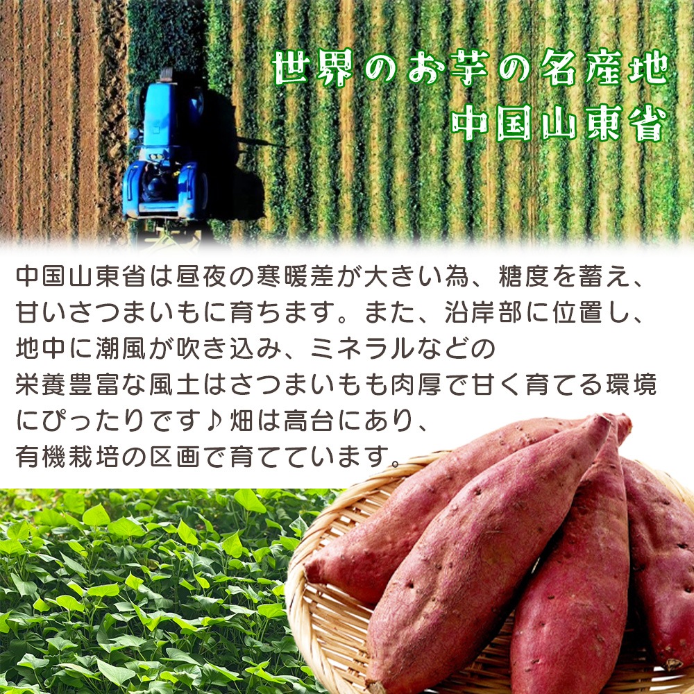オーガニックのお芋 選べる3種（ひとくち焼き芋・干し芋スティック・紫いもスティック）