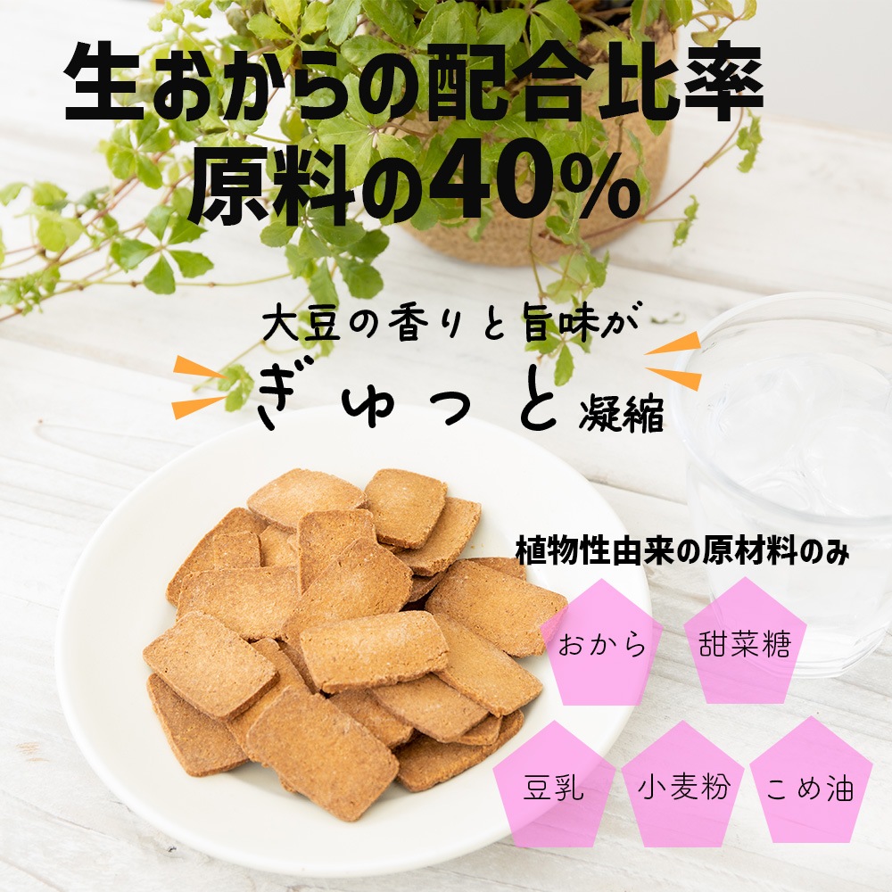 生おからクッキー 堅焼きタイプ 250g【送料無料】