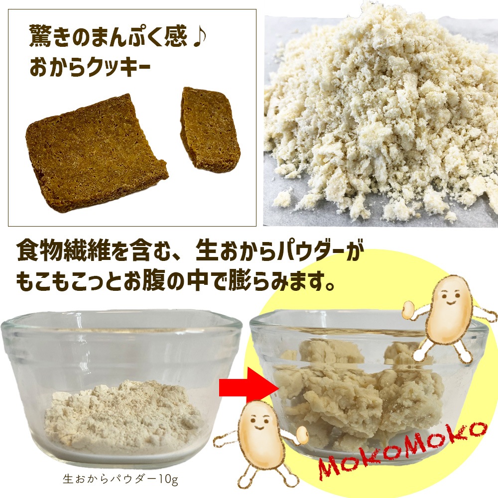 生おからクッキー 堅焼きタイプ 250g【送料無料】