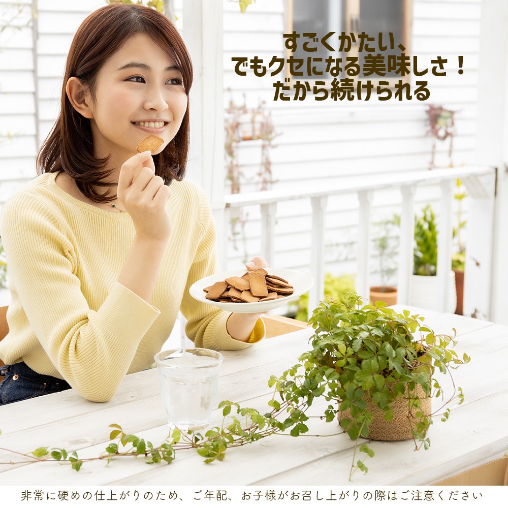 生おからクッキー 堅焼きタイプ 250g【送料無料】