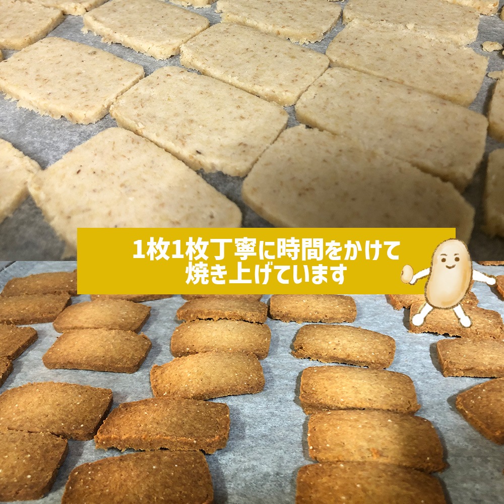 生おからクッキー 堅焼きタイプ 250g【送料無料】