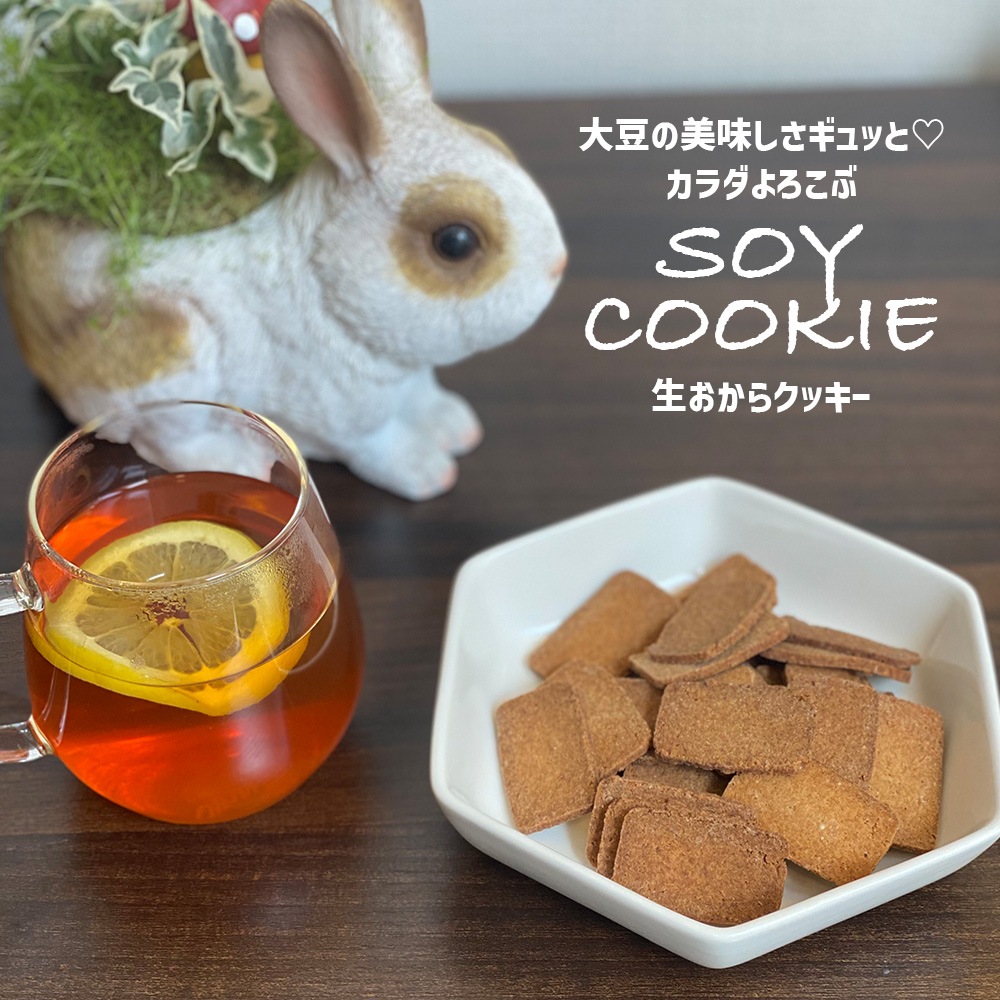 生おからクッキー 堅焼きタイプ 250g【送料無料】