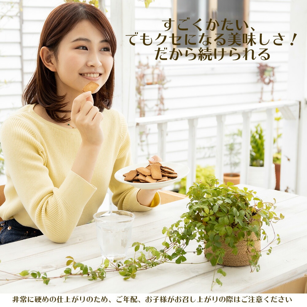 生おからクッキー 堅焼きタイプ 250g【送料無料】