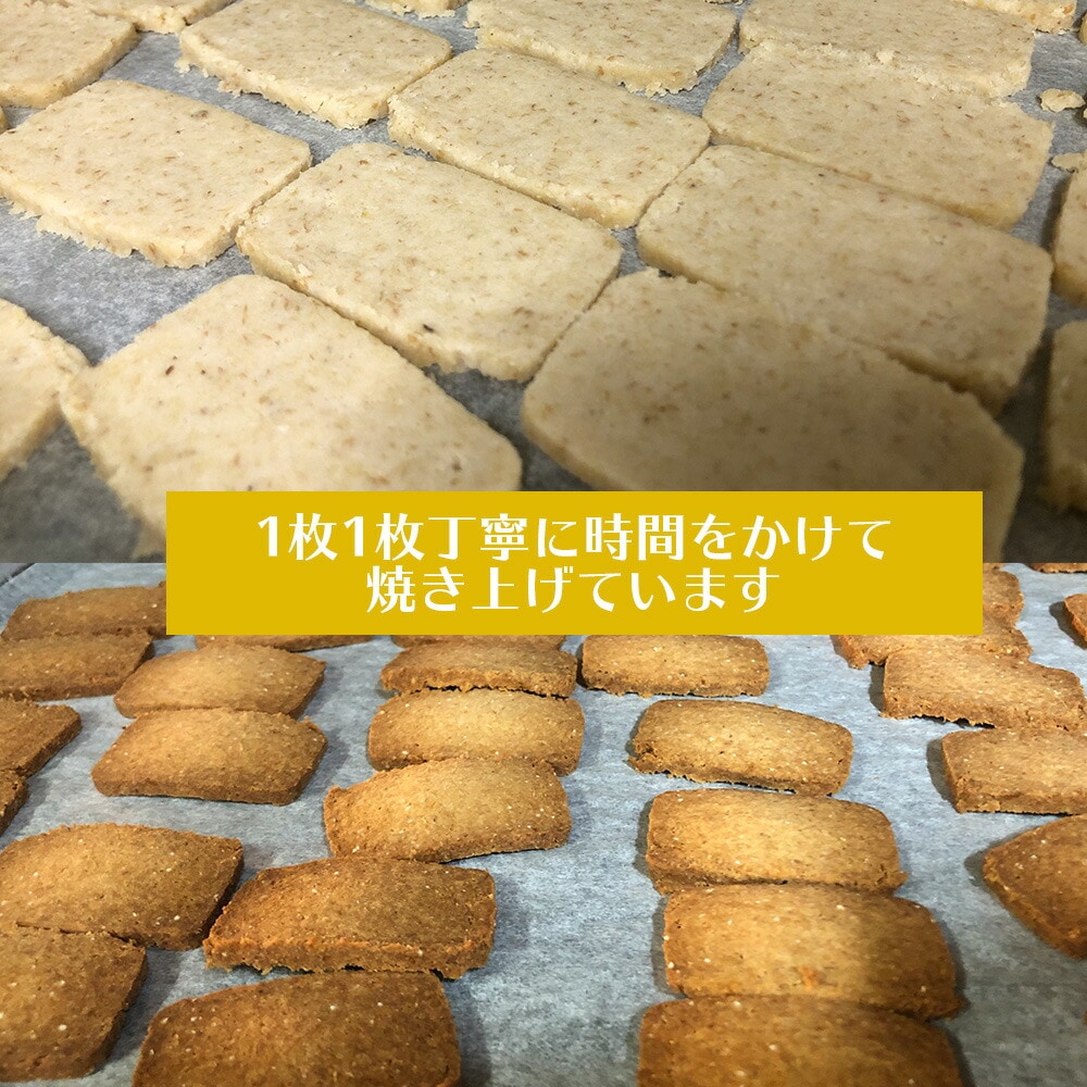 生おからクッキー 堅焼きタイプ 250g【送料無料】