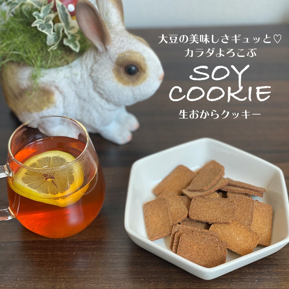 生おからクッキー 堅焼きタイプ 250g【送料無料】