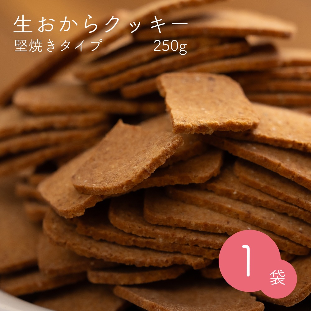 生おからクッキー 堅焼きタイプ 250g【送料無料】