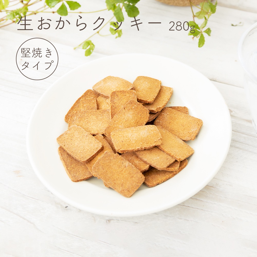 生おからクッキー 堅焼きタイプ 250g【送料無料】