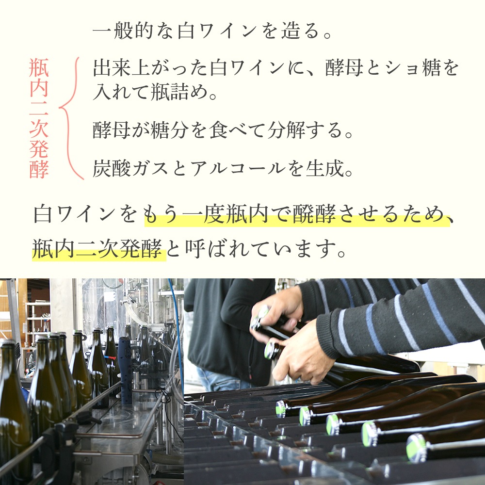 【クール便配送】 【1ケース 6本入り】 ワイン メトード クラシコ エクストラ ブリュットマリネ ロゼ 2016 【送料無料】