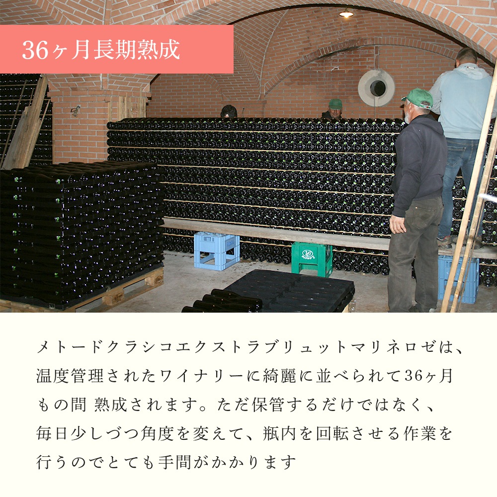 【クール便配送】 【1ケース 6本入り】 ワイン メトード クラシコ エクストラ ブリュットマリネ ロゼ 2016 【送料無料】