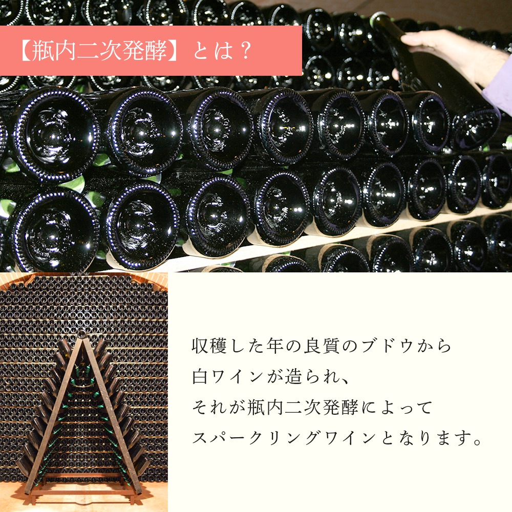 【クール便配送】 【1ケース 6本入り】 ワイン メトード クラシコ エクストラ ブリュットマリネ ロゼ 2016 【送料無料】