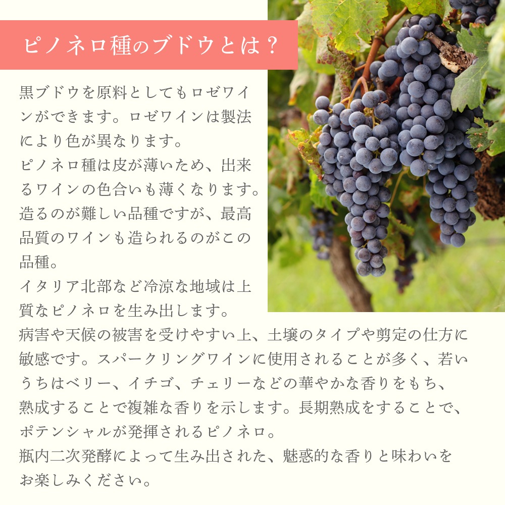 【クール便配送】 【1ケース 6本入り】 ワイン メトード クラシコ エクストラ ブリュットマリネ ロゼ 2016 【送料無料】