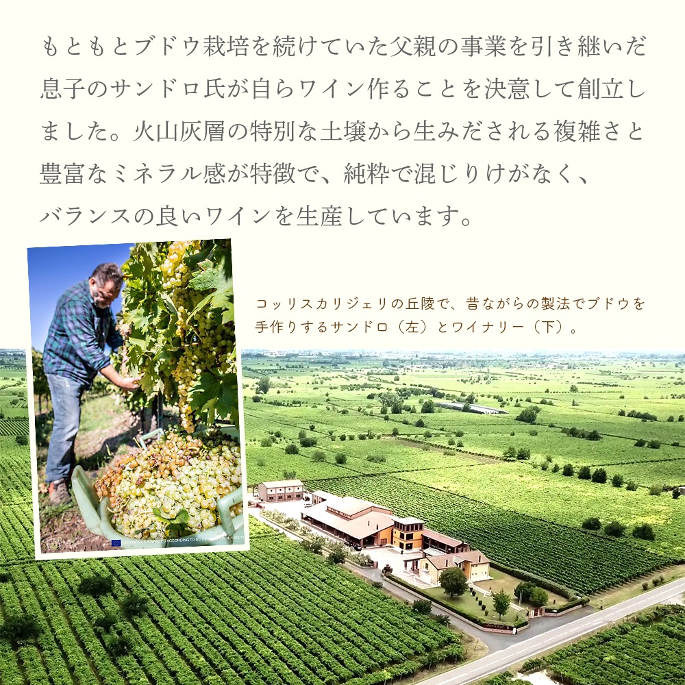 【クール便配送】 【1ケース 6本入り】 ワイン ピノネロ IGT ヴェネト ロッソフーモ 2015 【送料無料】