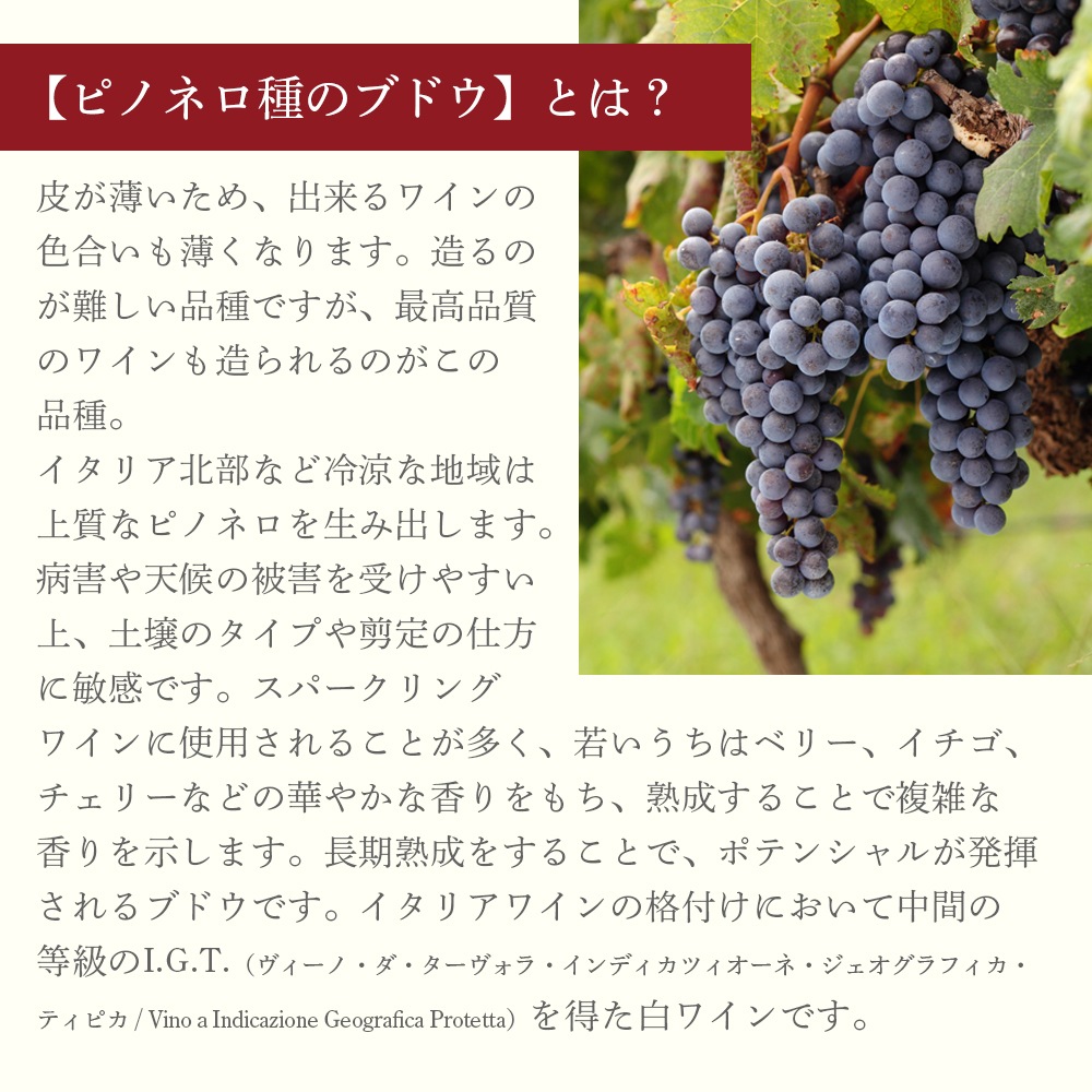 【クール便配送】 【1ケース 6本入り】 ワイン ピノネロ IGT ヴェネト ロッソフーモ 2015 【送料無料】