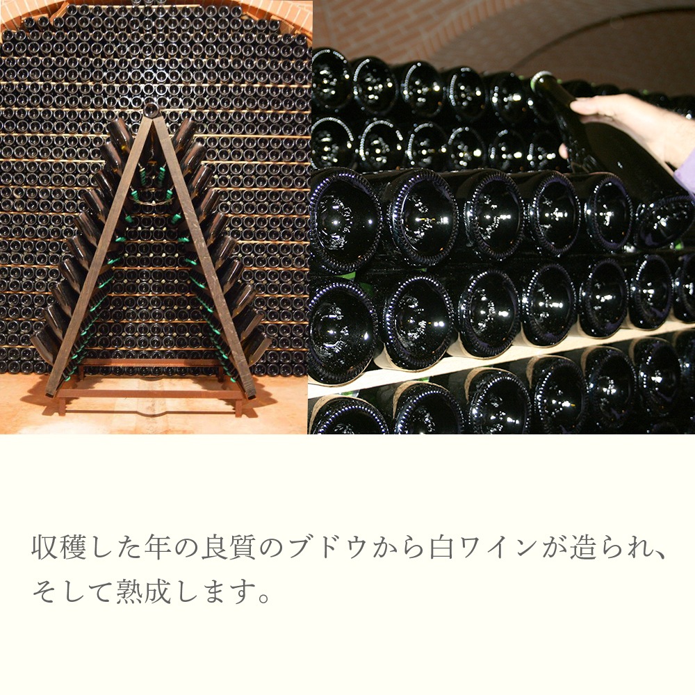 【クール便配送】 【1ケース 6本入り】 ワイン ソーヴィニヨン IGT ヴェネト ビアンコフーモ 2015 【送料無料】