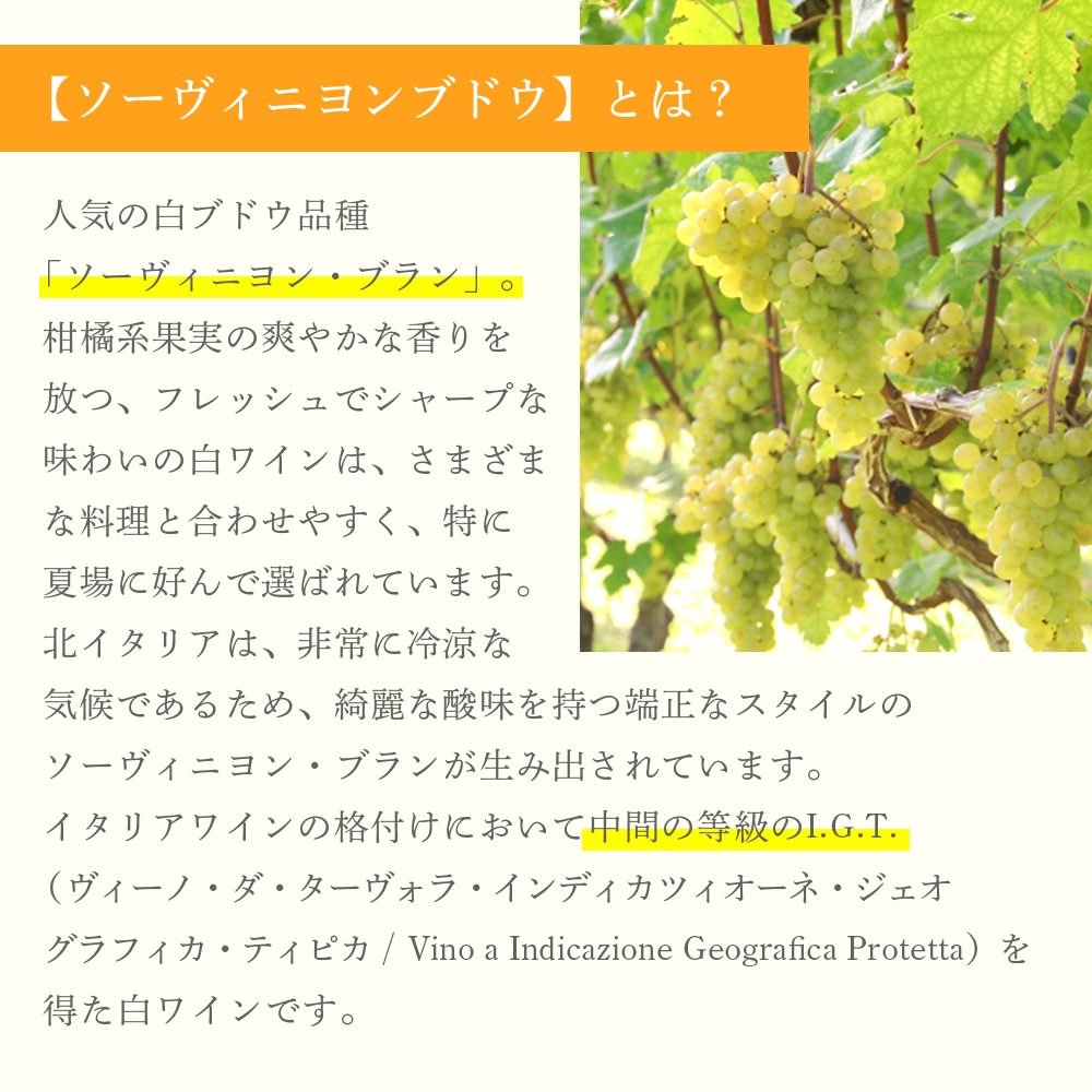 【クール便配送】 【1ケース 6本入り】 ワイン ソーヴィニヨン IGT ヴェネト ビアンコフーモ 2015 【送料無料】