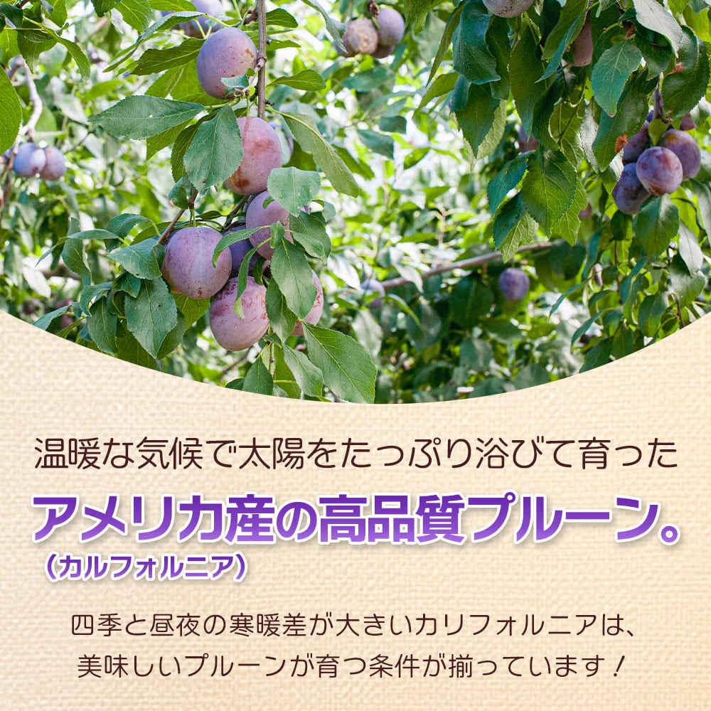 ドライプルーン 400g 1袋 個包装 種ぬきプルーン ドライフルーツ 【送料無料】