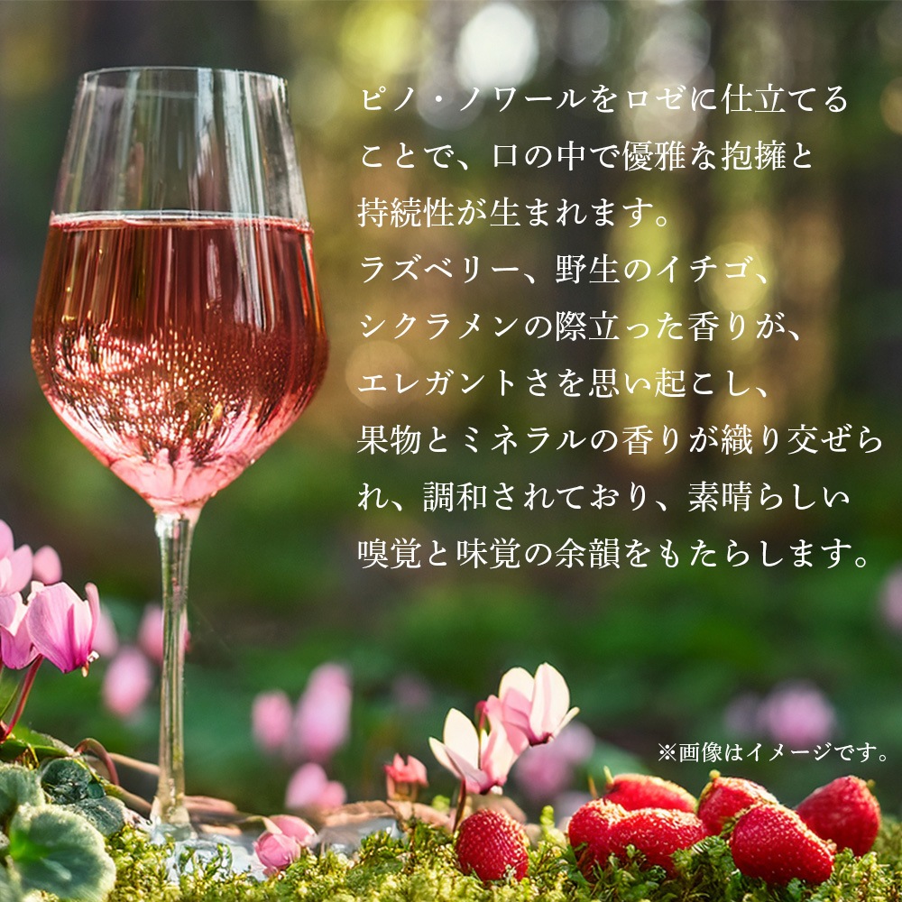 【クール便配送】 ワイン ロゼ ロザ ブリュット 2019 Villa Rinaldi ヴィラ リナルディ 【送料無料】