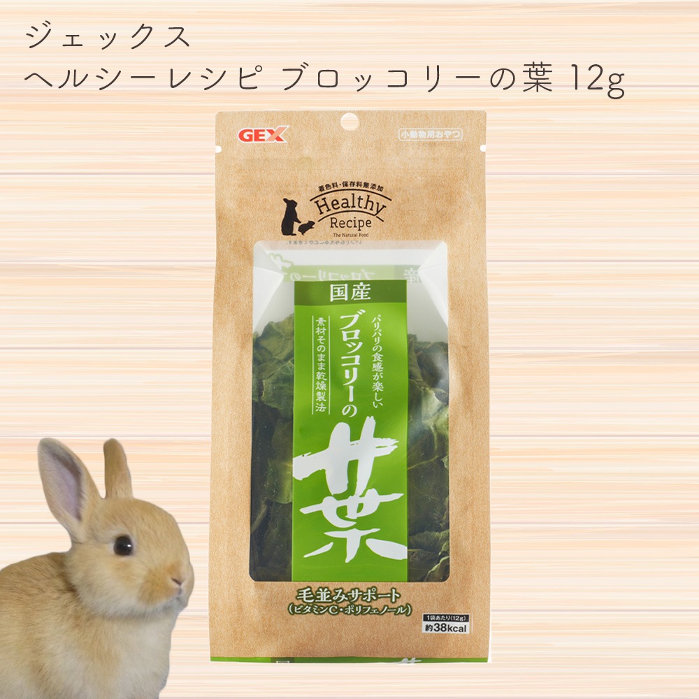 無農薬 乾燥人参の葉っぱ ウサギさんのオヤツにいかがですか❣️