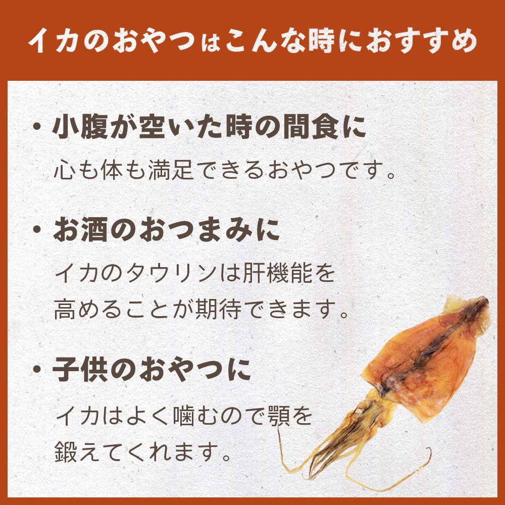 するめソーメン 250g チャック付き【送料無料】