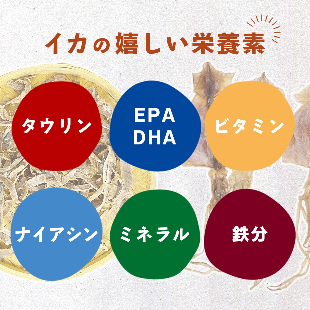 するめジャーキー 250g チャック付き【送料無料】