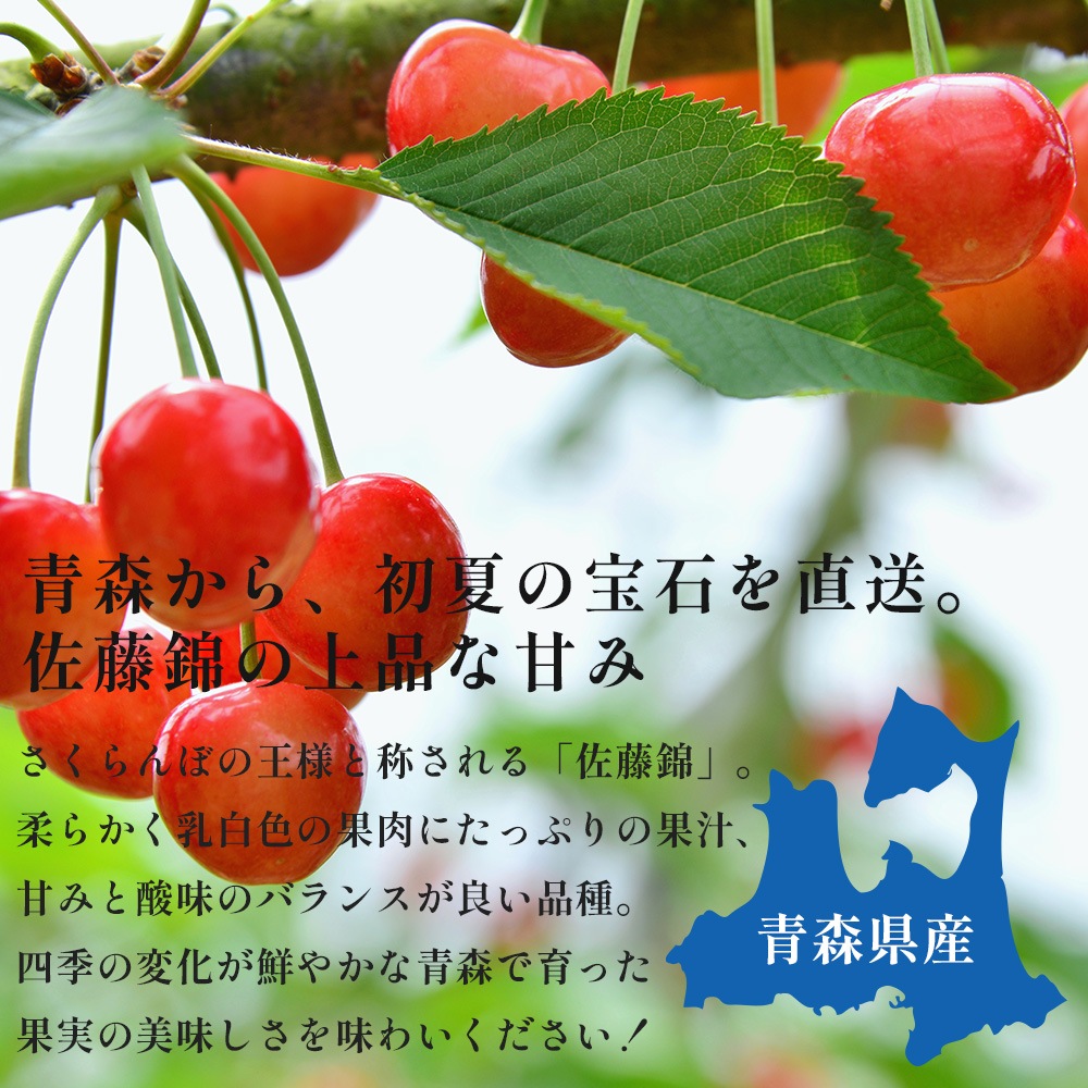 【産地直送】 青森県産 さくらんぼ 佐藤錦 1kg サクランボ 果物 フルーツ 人気 売れ筋 お取り寄せ バラ 自宅用 予約販売 6月下旬～7月上旬出荷予定