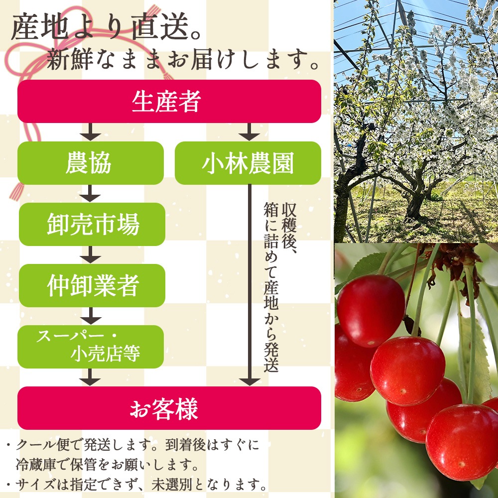 【産地直送】 青森県産 さくらんぼ 紅秀峰 1kg サクランボ 果物 フルーツ 人気 売れ筋 お取り寄せ バラ 自宅用 予約販売 7月上旬～中旬出荷予定