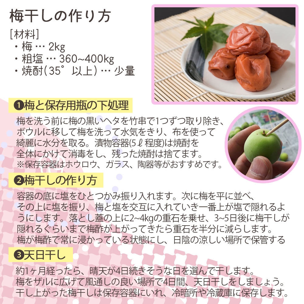 【産地直送】 青森県 豊後梅 2kg 青梅 梅 うめ 梅酒 梅干し 梅シロップ 梅干 梅シロップ 梅ジャム 予約販売 7月上旬～中旬出荷予定