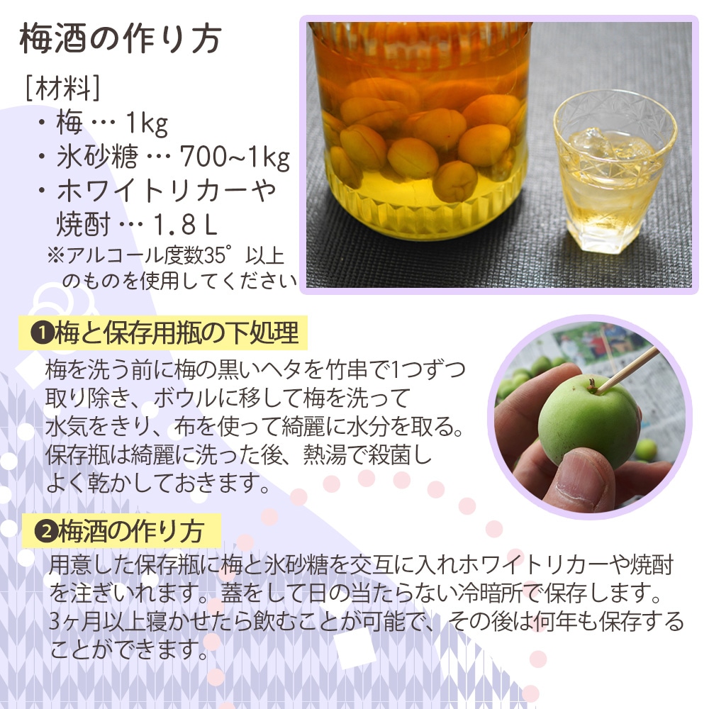 【産地直送】 青森県 豊後梅 2kg 青梅 梅 うめ 梅酒 梅干し 梅シロップ 梅干 梅シロップ 梅ジャム 予約販売 7月上旬～中旬出荷予定