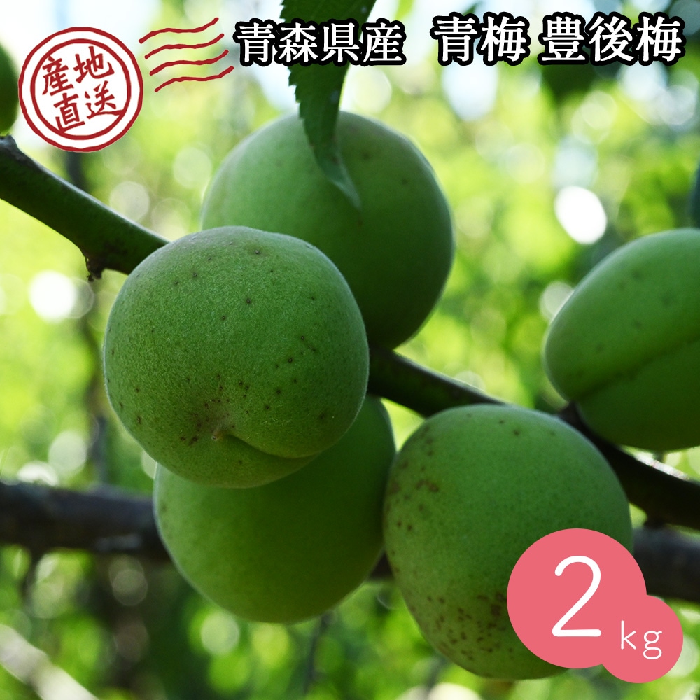 産地直送】 青森県 豊後梅 2kg 青梅 梅 うめ 梅酒 梅干し 梅
