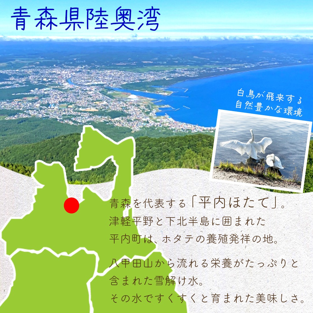 【産地直送】 青森県陸奥湾産活ホタテ【送料無料】