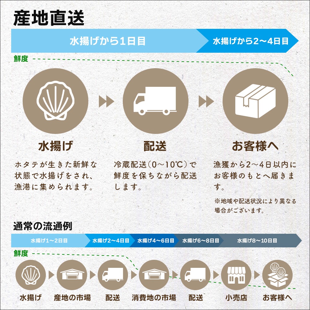 【産地直送】 青森県陸奥湾産活ホタテ【送料無料】