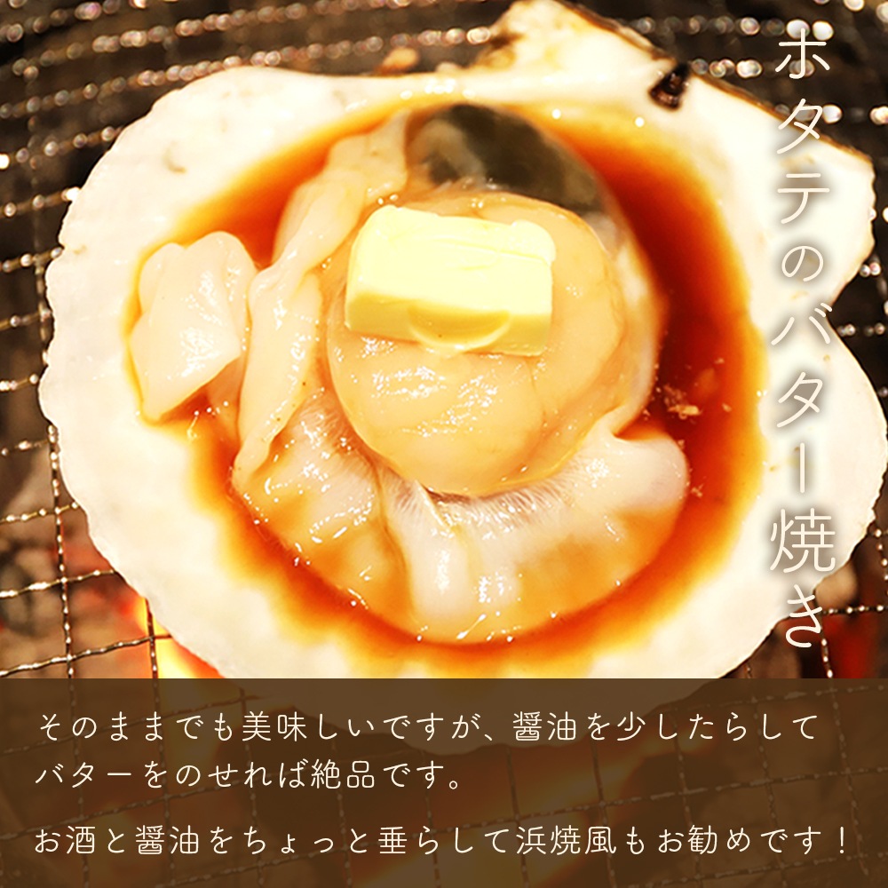 【産地直送】 青森県陸奥湾産活ホタテ【送料無料】