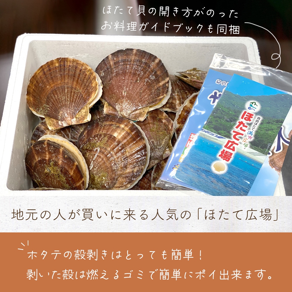 【産地直送】 青森県陸奥湾産活ホタテ【送料無料】
