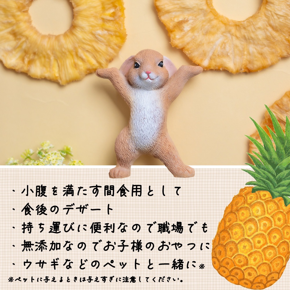 無添加 完熟ドライパイナップル 100g 砂糖不使用・添加物不使用 個包装【送料無料】