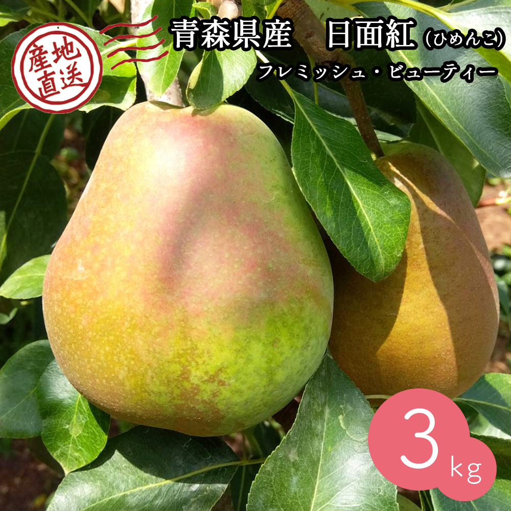 【産地直送】日面紅（ひめんこ）3kg（9～15個）フレミッシュ・ビューティー  果物 フルーツ 希少 お取り寄せ 自宅用 ギフト 予約販売 9月上旬～中旬出荷予定